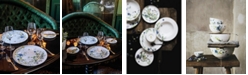 Rosenthal  Brillance Fleurs des Alpes Dinnerware Collection 